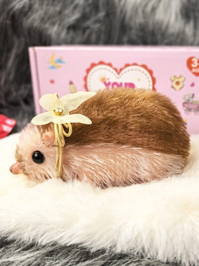 Силиконовый ежик реборн Tiggy с аксессуарами-6