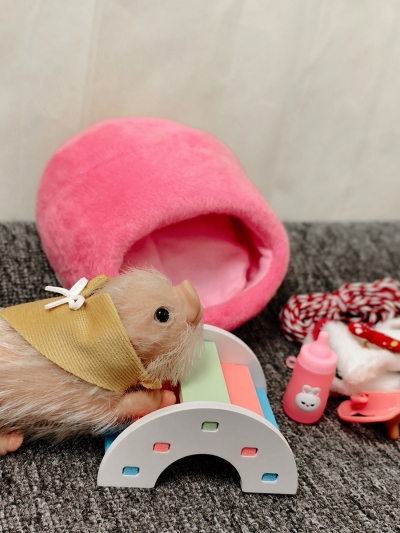 Силиконовая свинка реборн Plushie с расширенной комплектацией-10