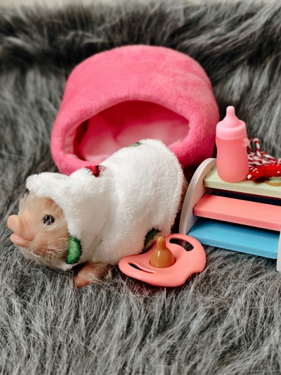 Силиконовая свинка реборн Plushie с расширенной комплектацией-6