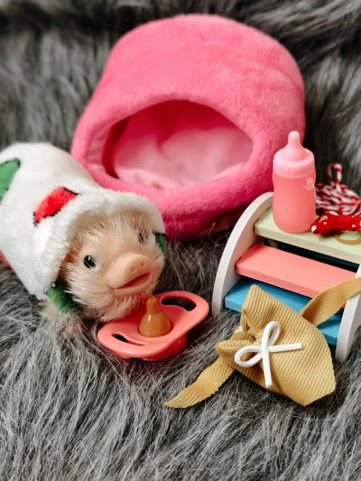 Силиконовая свинка реборн Plushie с расширенной комплектацией-3