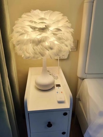 Прикроватная лампа для спальни с перьями-3