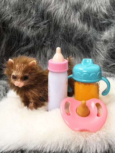 Силиконовый котенок реборн Kitty с аксессуарами-1