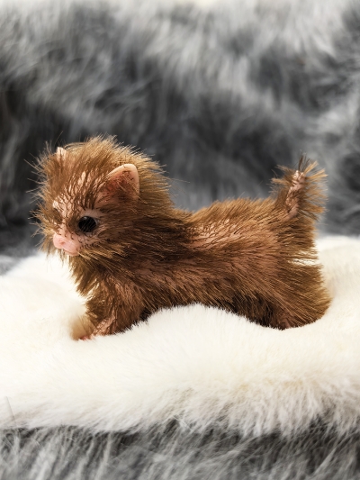 Силиконовый котенок реборн Kitty с аксессуарами-2