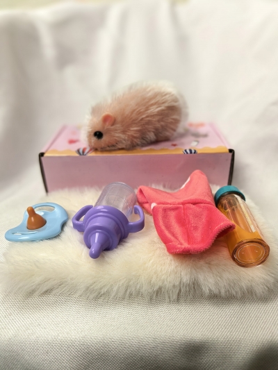 Силиконовый хомяк реборн Hammy с аксессуарами-4