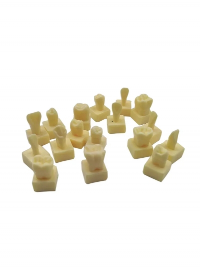 Комплект зубов увеличенного размера Dentis, 28 шт-2