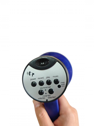 Рупор-громкоговоритель The Wall 2-4