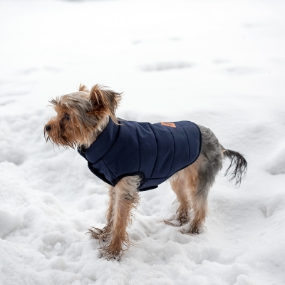Зимняя куртка (жилетка) для выгула собак Hitvest S голубой-3