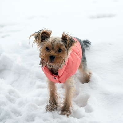 Зимняя куртка (жилетка) для выгула собак Hitvest S розовый-3