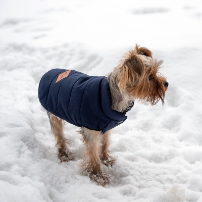 Зимняя куртка (жилетка) для выгула собак Hitvest M голубой-3