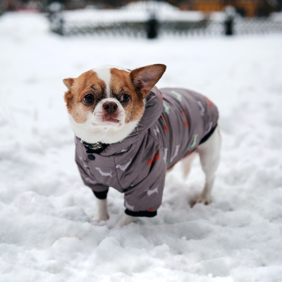 Зимний комбинезон куртка для маленьких собак Terry серый XL-3