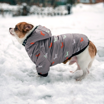 Зимний комбинезон куртка для маленьких собак Terry серый XL-4
