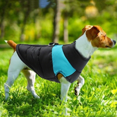 Зимняя жилетка куртка для выгула собак Duo голубая, 2XL-13