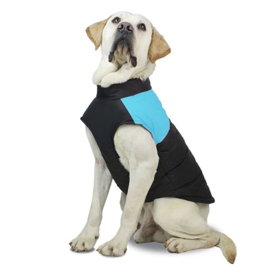 Зимняя жилетка куртка для выгула собак Duo голубая, XL-12