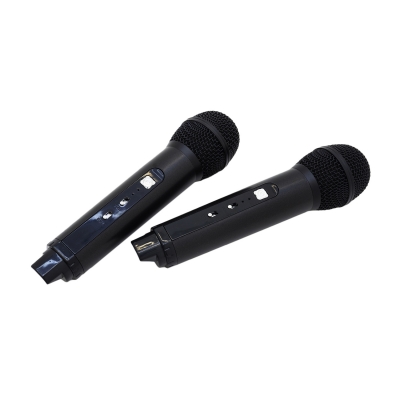 Беспроводная Bluetooth караоке система SD-305 Kitt с микрофонами-7