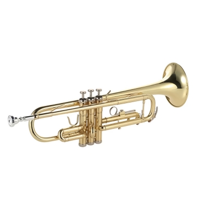 Труба музыкальная латунная Domire си-бемоль позолоченная-1