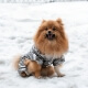 Зимний комбинезон для собак Cody Silver XL