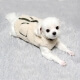 Зимняя-осенняя жилетка для собак Fluffy, XL