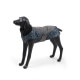 Зимняя жилетка куртка для выгула собак Black Doggy синяя, XL