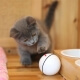 Интерактивная светодиодная игрушка мячик для кошек Super Ball