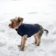 Зимняя куртка (жилетка) для выгула собак Hitvest S голубой
