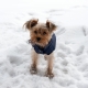 Зимняя куртка (жилетка) для выгула собак Hitvest S голубой