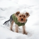 Зимняя куртка (жилетка) для выгула собак Hitvest S зеленый