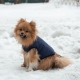 Зимняя куртка (жилетка) для выгула собак Hitvest L голубой