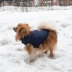 Зимняя куртка (жилетка) для выгула собак Hitvest L голубой