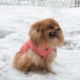 Зимняя куртка (жилетка) для выгула собак Hitvest L розовый