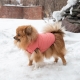 Зимняя куртка (жилетка) для выгула собак Hitvest L розовый