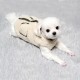 Зимняя-осенняя жилетка для собак Fluffy, L