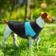 Зимняя жилетка куртка для выгула собак Duo голубая, 2XL
